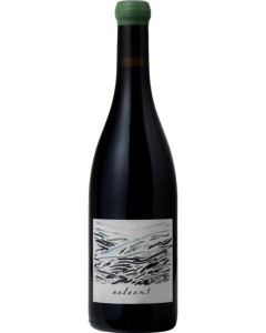 Audeant Pinot Noir Luminous Vineyard 2021