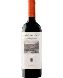 Coto de Imaz Reserva 2020