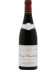 Domaine Lucien Boillot & Fils Gevrey-Chambertin 2020