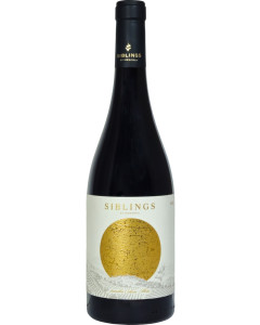 El Vi Siblings by Mesorah Mevushal 2022