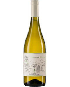 Fattoria San Michele a Torri Vermentino 2024