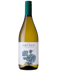 Gota Prunus Branco 2017