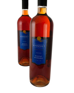 Kinneret Wine Cellars Muscat Hamburg 2017