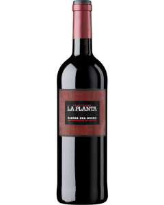 La Planta Ribera del Duero 2023
