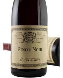 Louis Jadot Pinot Noir Bourgogne 2022