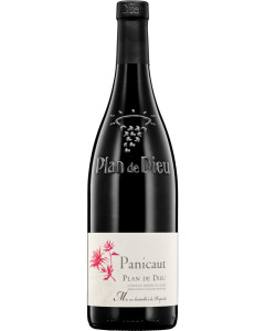 Panicaut Plan de Dieu Red 2023