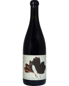 Sanguis Verve Grenache 2010