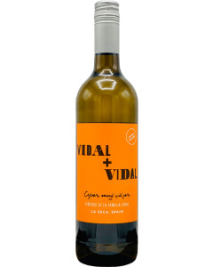 Vidal + Vidal Verdejo La Seca 2024