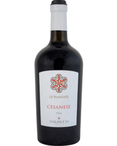 Volpetti Cesanese Le Piantate 2024