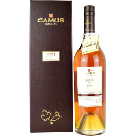 Camus 1971 Cognac