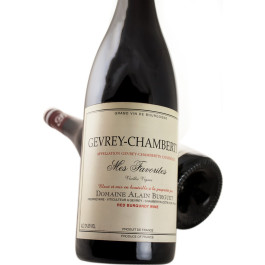 domaine-alain-burguet-gevrey-