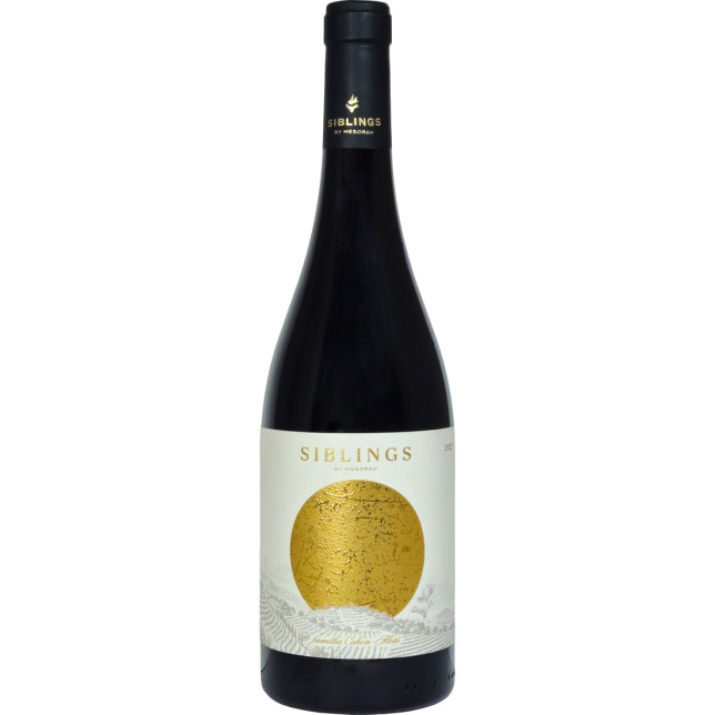 El Vi Siblings by Mesorah Mevushal 2022