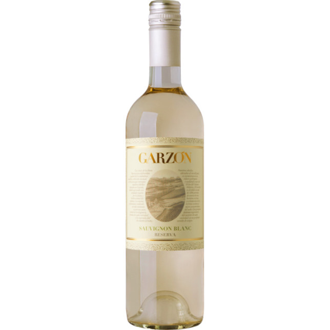 Garzón Sauvignon Blanc Reserva 2024