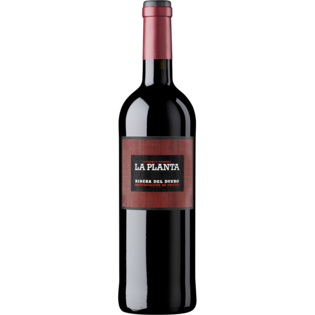 La Planta Ribera del Duero 2023