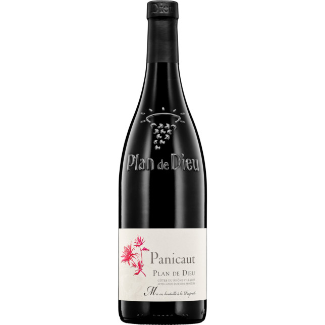 Panicaut Plan de Dieu Red 2023