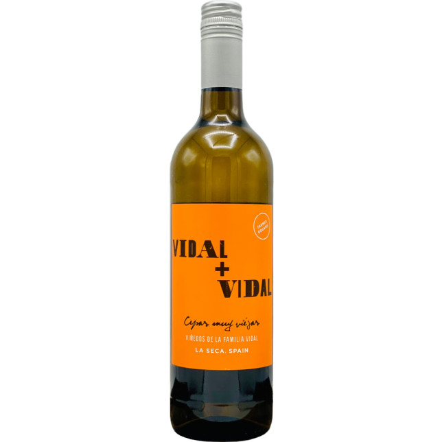 Vidal + Vidal Verdejo La Seca 2024